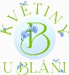 Květiny u Bláni